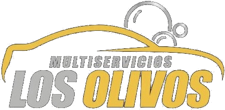 Multiservicios Los Olivos